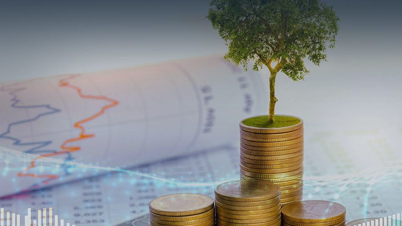 成都组织架构咨询代理加盟哪家好