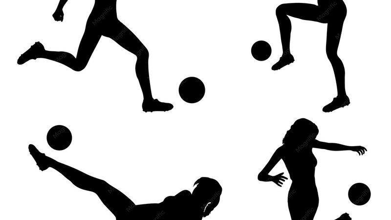 上市辅导验收现场检查：关键内容与注意事项